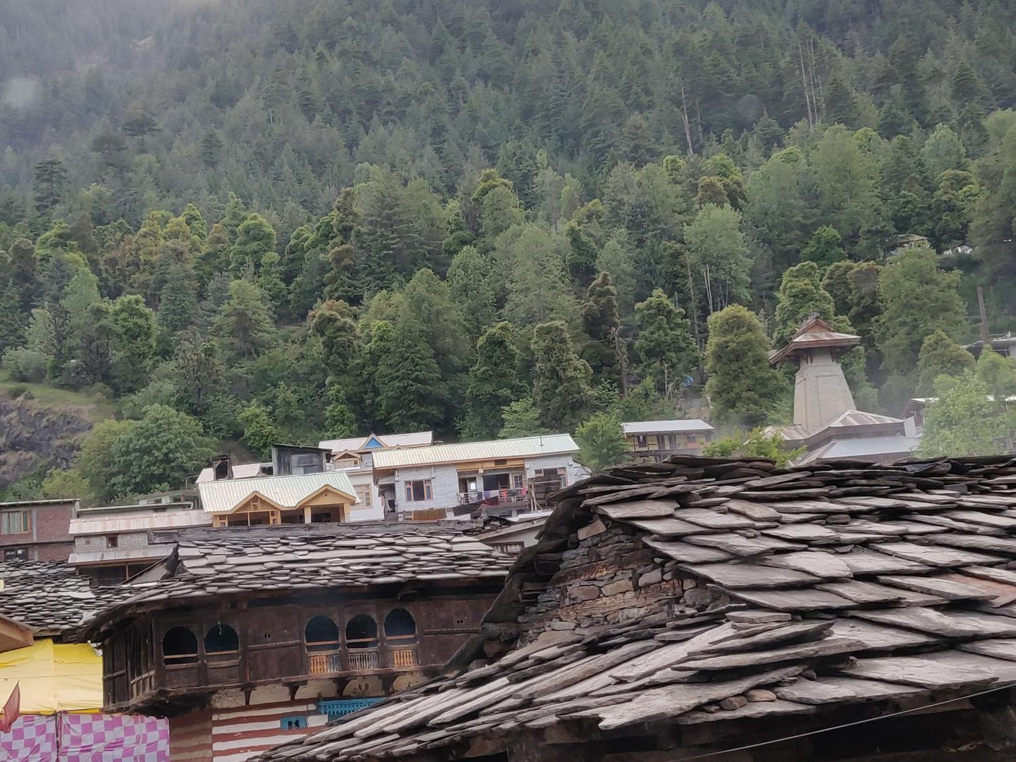 Хостел La Voglia-Old Manali Номер фото